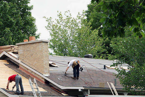 Best Roof Gutter Cleaning  in Palmetto Estates, FL